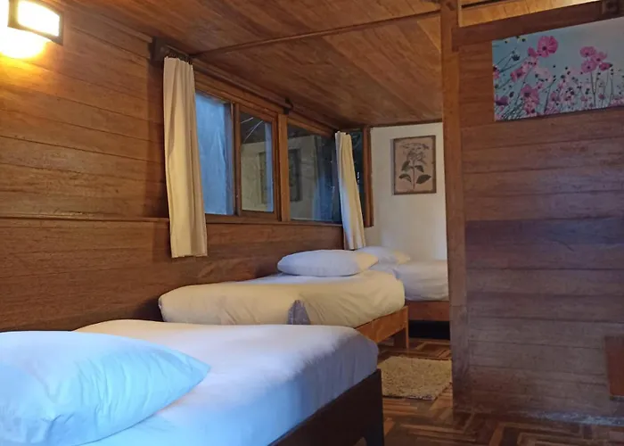 Tree House Lodge *
