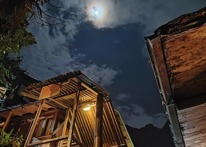 Tree House Lodge