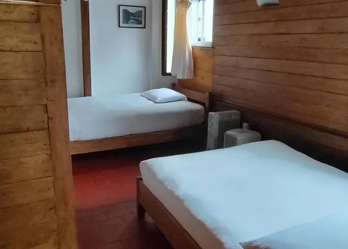 Tree House Lodge *