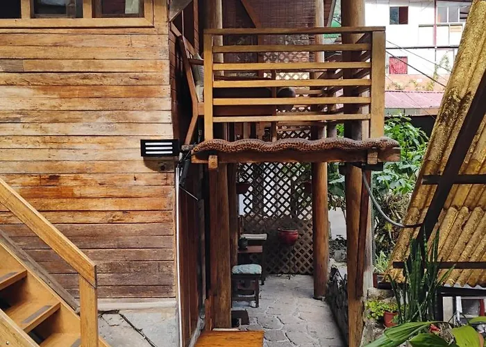 Tree House Lodge *