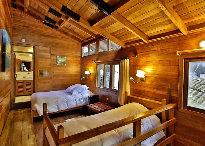 Tree House