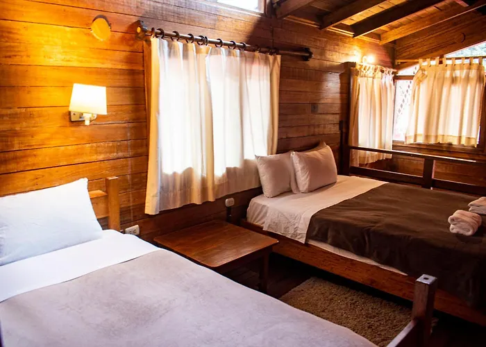 Tree House Lodge *