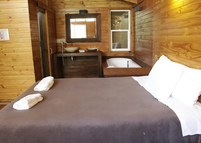 Tree House Lodge *