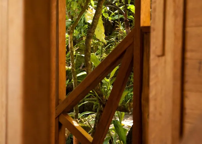 Tree House *