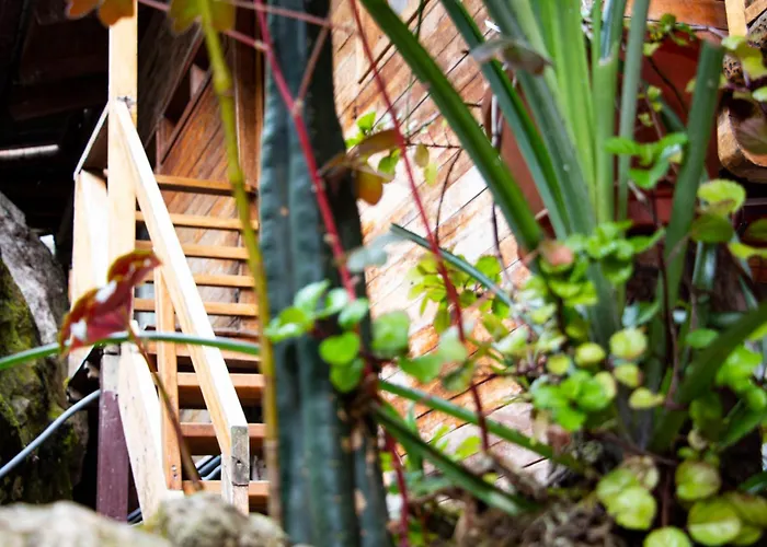 Lodge Tree House