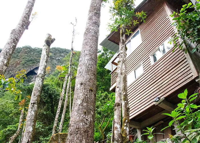 Lodge Tree House *