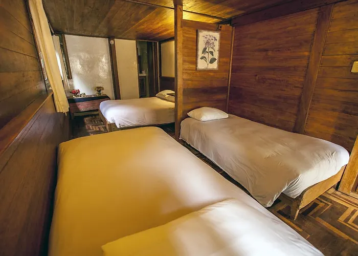 Tree House Lodge